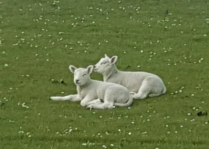 Strandbutze**** * Büsum